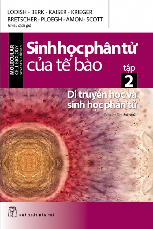 SINH HỌC PHÂN TỬ CỦA TẾ BÀO 02 - DI TRUYỀN HỌC VÀ SINH HỌC PHÂN TỬ - NXB Trẻ