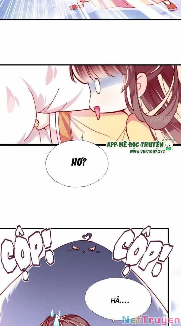 lại bị bệnh chiều chuộng quấn lấy chapter 13 7