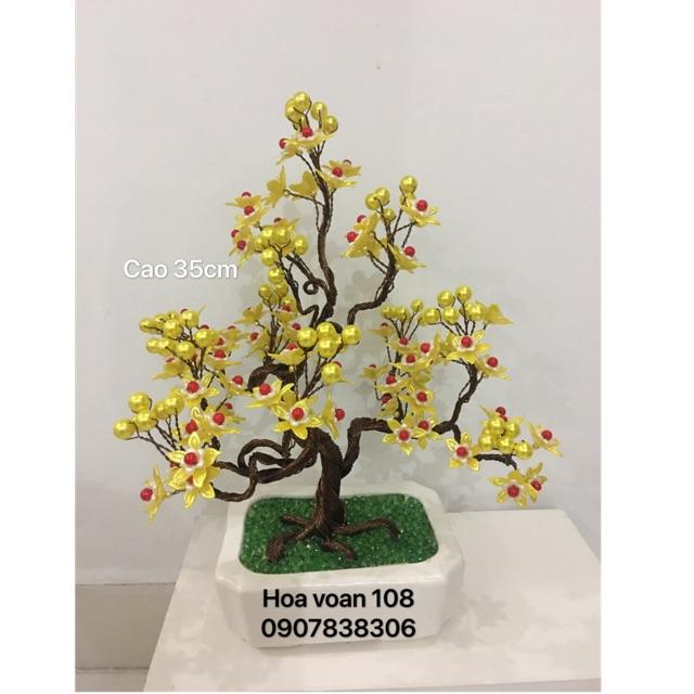 Chậu hoa bonsai - cây kiểng