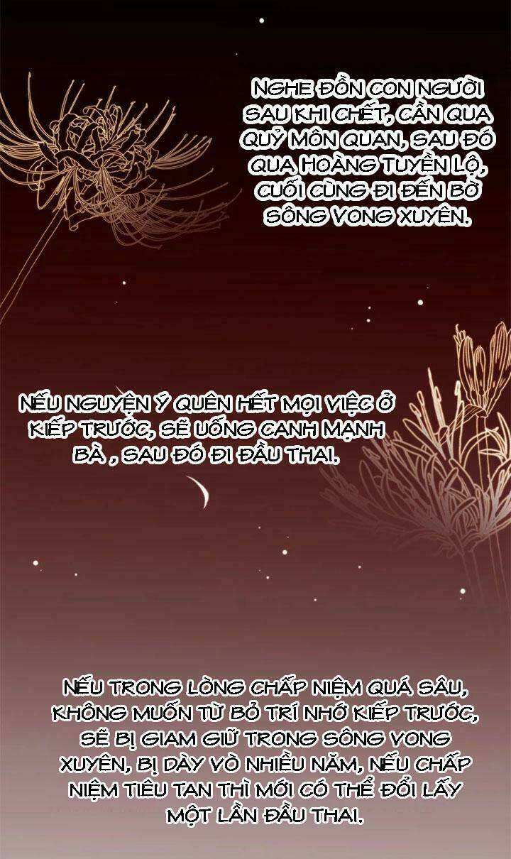 chào buổi tối, minh vương đại nhân chapter 14 27