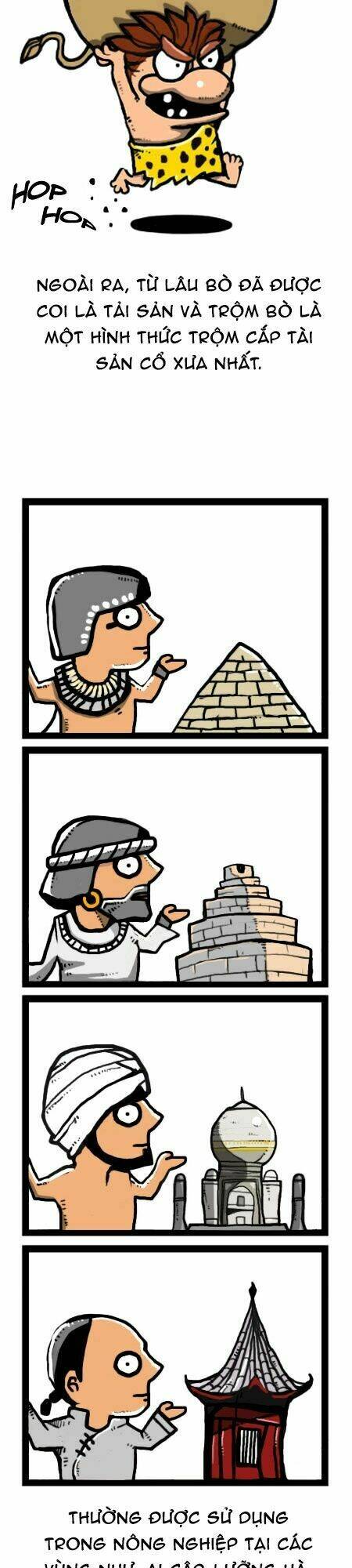 earth, human, and animal chapter 24 12