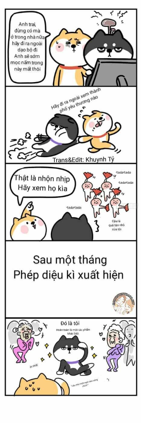 anh em shiba chapter 4 7