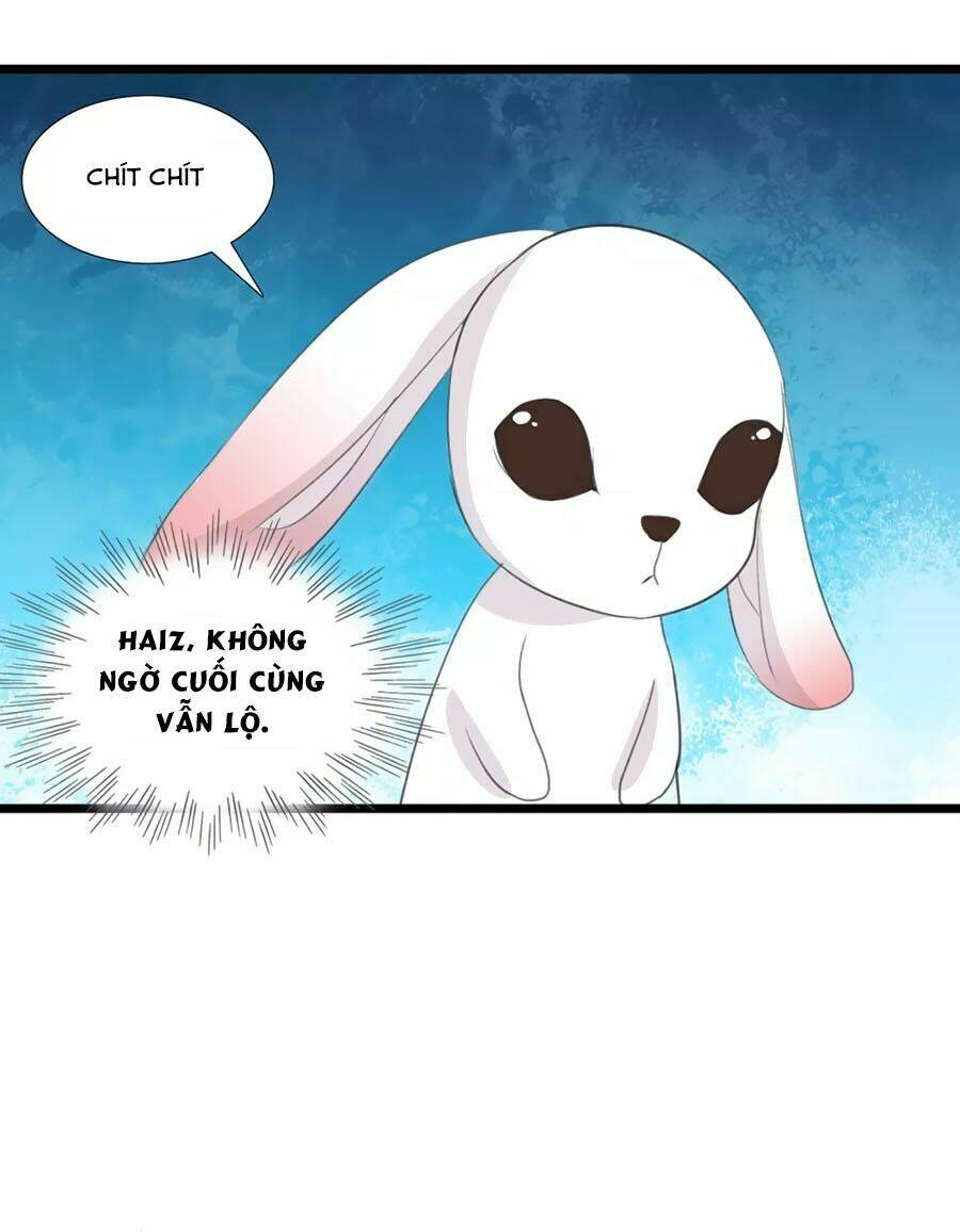 thỏ yêu tiểu vương phi chapter 91 14