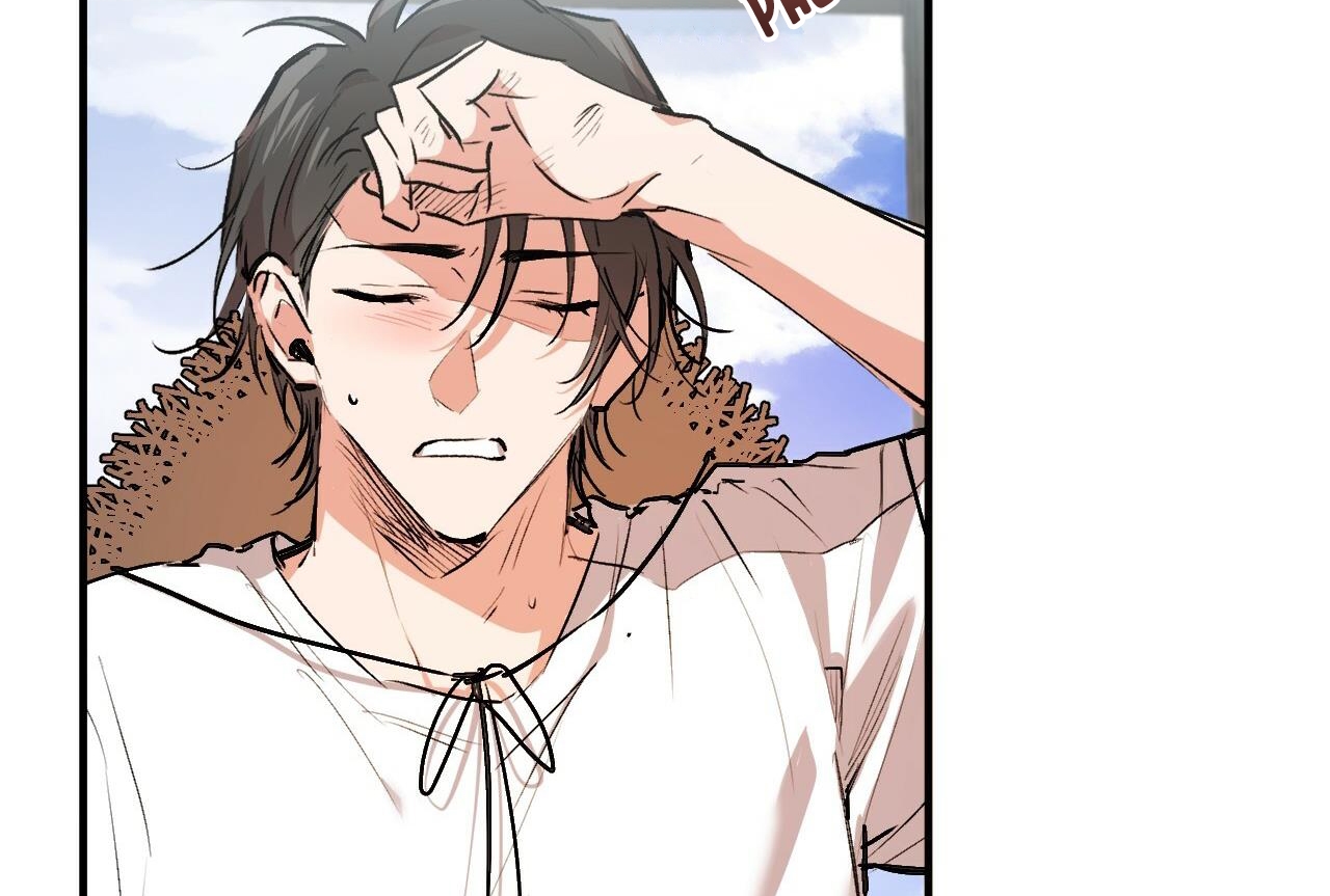 đàn thỏ của habibi chapter 32 195