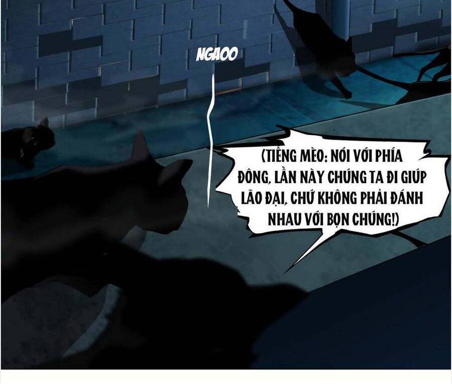 đằng nữ chapter 129 20