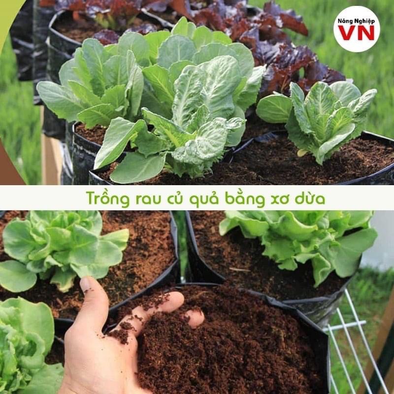 Đất nén hữu cơ dạng viên xơ dừa dinh dưỡng diệt trùng diệt khuẩn kháng bệnh tốt cho cây trồng - rau củ - cây cảnh