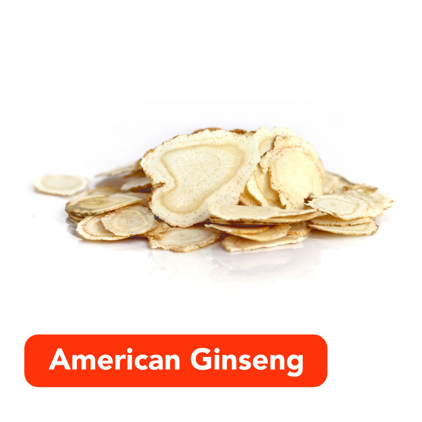 Viên Uống Nhân Sâm Hoa Kỳ Kết Hợp Đông Trùng Hạ Thảo Và Tam Thất Mei Hua Singapore Tăng Cường Hệ Miễn Dịch, Bổ Sung Sinh Lực, Điều Hòa Khí Huyết - Hộp 60 Viên
