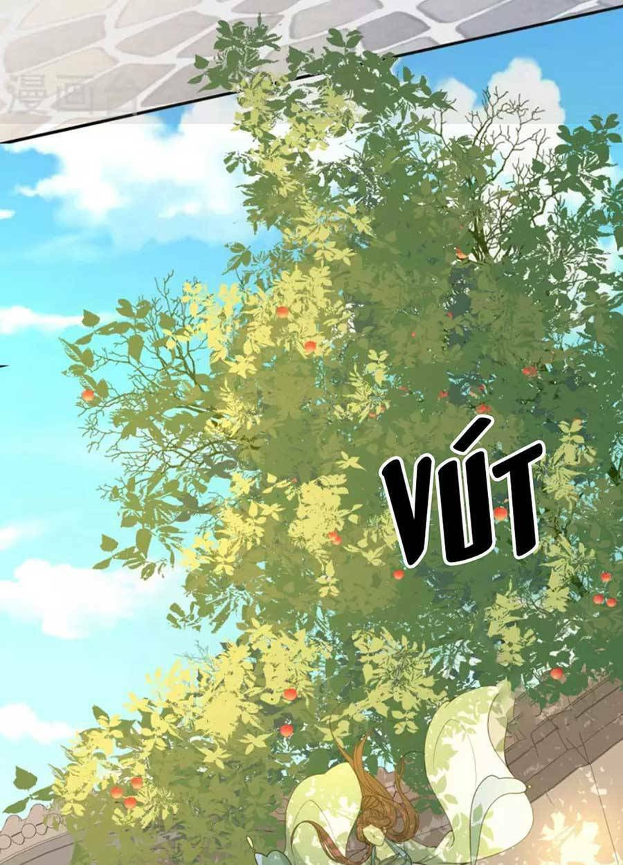 tướng quân, bổn phi không nhận sủng chapter 42 27