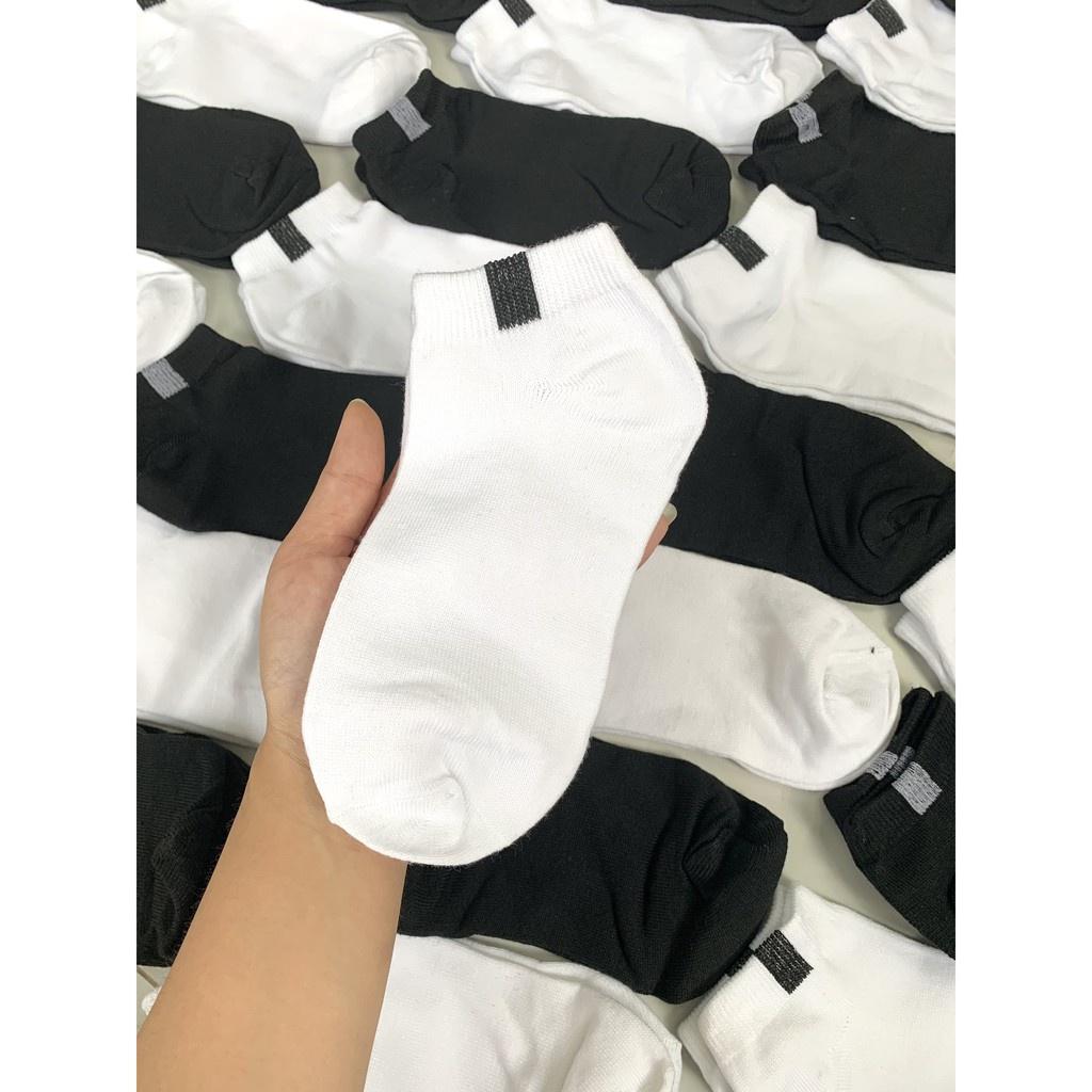 Vớ Trơn Cổ Ngắn, Tất Cổ Ngắn Nam/Nữ vải cotton PATADO chuẩn xuất khẩu Mã TV01
