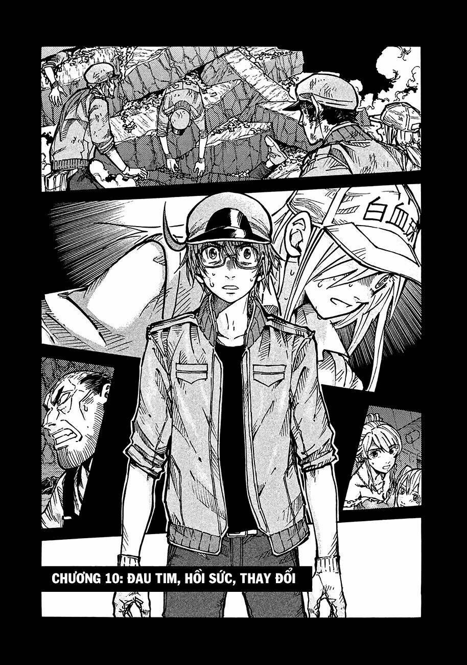 biệt đội tế bào black - hataraku saibou black chapter 10 2