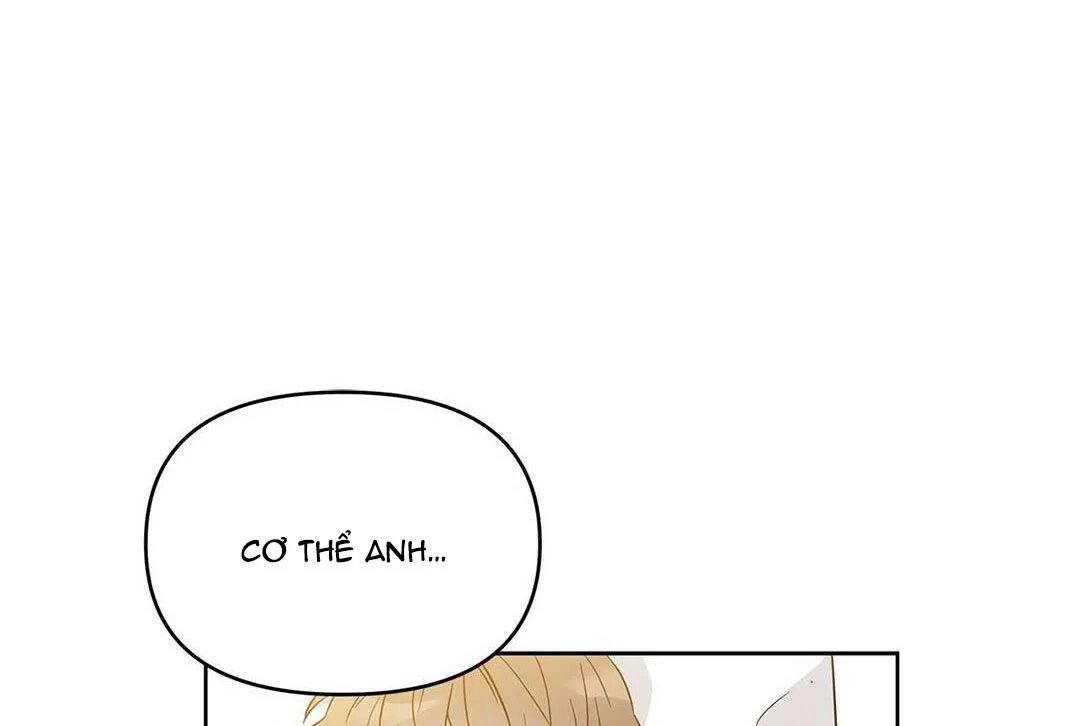 guide cấp b chapter 17 29