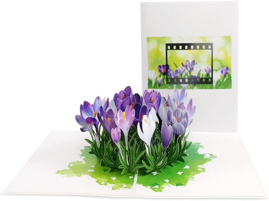 F37 -  Thiệp 3D Hoa Nghệ Tây Tím – Crocus Bouquet – Pop Up Card Viethands Giftshop