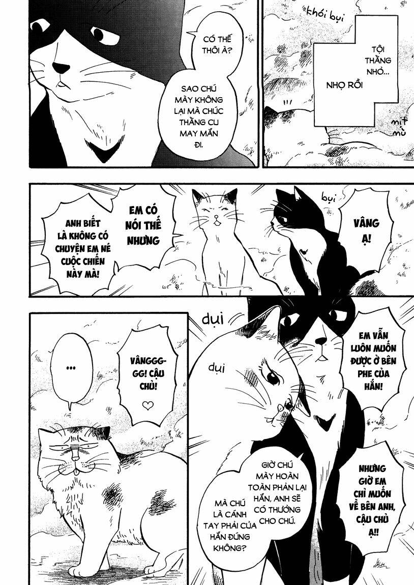 tui là busamen! chapter 8 6