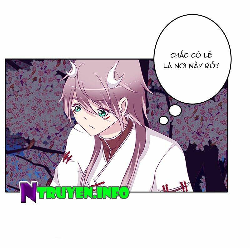 tướng quân mời ra trận chapter 43 8