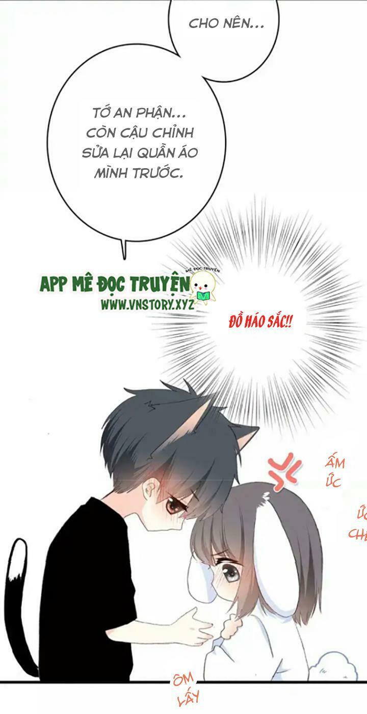 con tim rung động 2 chapter 28.5 9