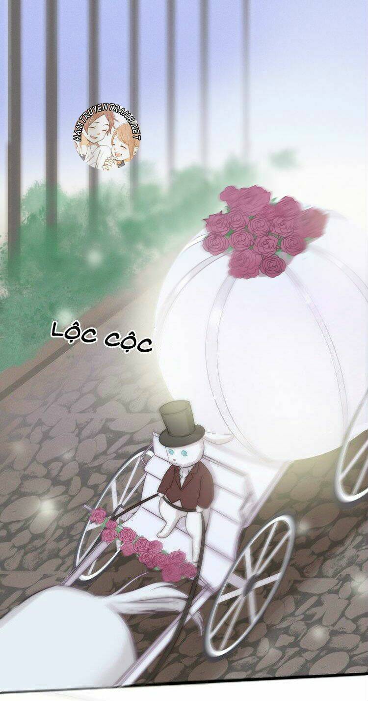 viện bảo tàng tâm nguyện chapter 8.1 1