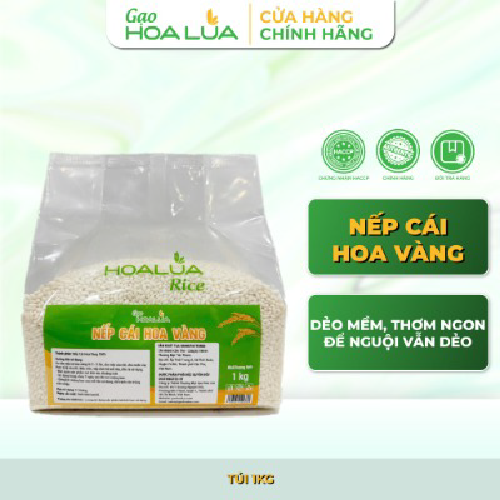 Nếp Cái Hoa Vàng (Nếp Bắc) - Dẻo mềm, thơm ngon đặc trưng - Túi 1Kg - SẢN PHẨM MỚI