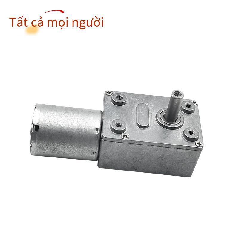 Động cơ giảm tốc trục vít không chổi than 370 DC giá thấp nhất với động cơ giảm tốc tự khóa, mô-men xoắn cao, độ bền cao và tuổi thọ cao