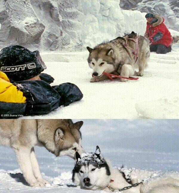 bác sĩ thú y chapter 5 19