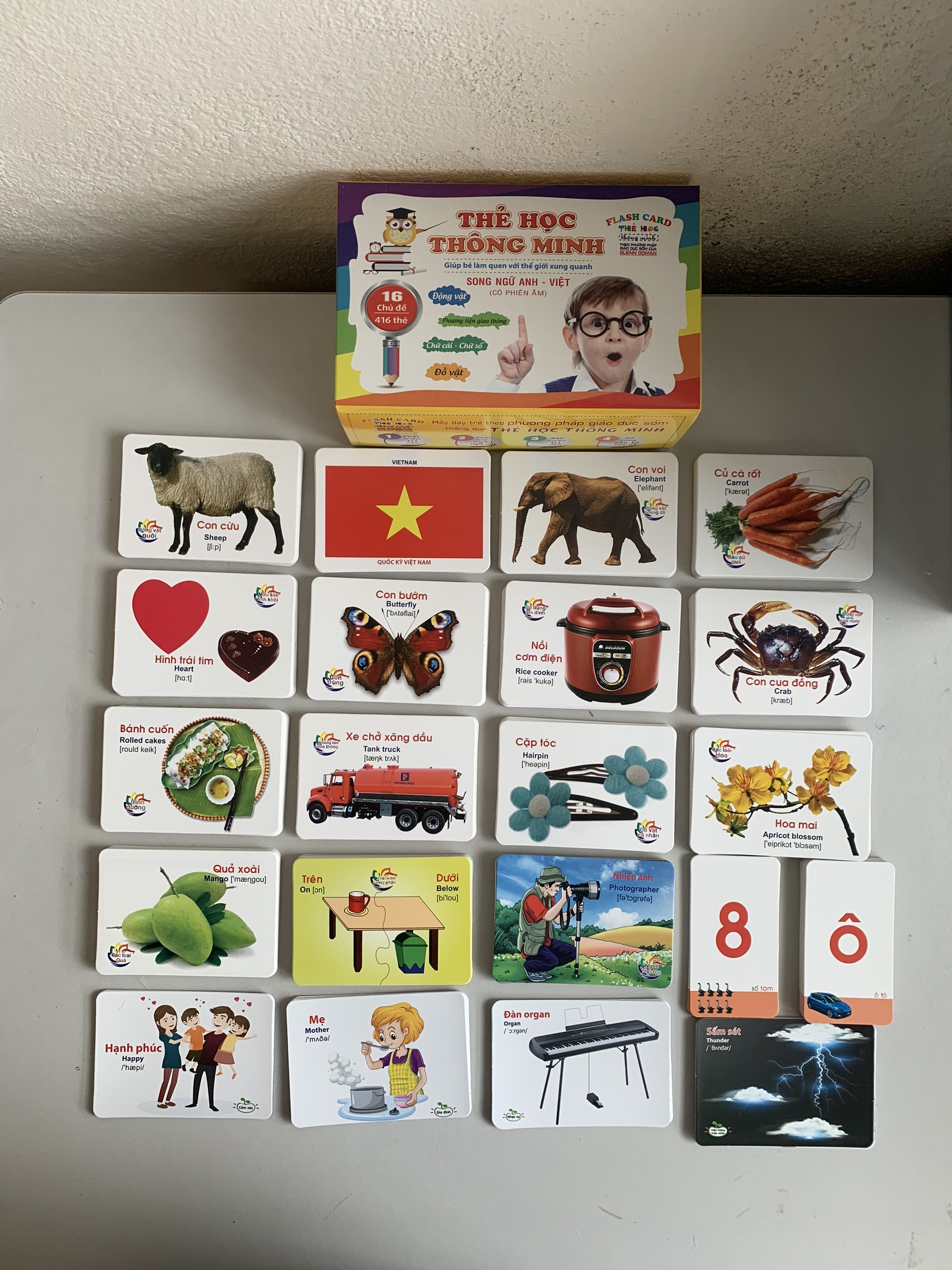 Bộ thẻ học thông minh 450 thẻ với 20 chủ đề về thế giới xung quanh cho bé (Flashcard)