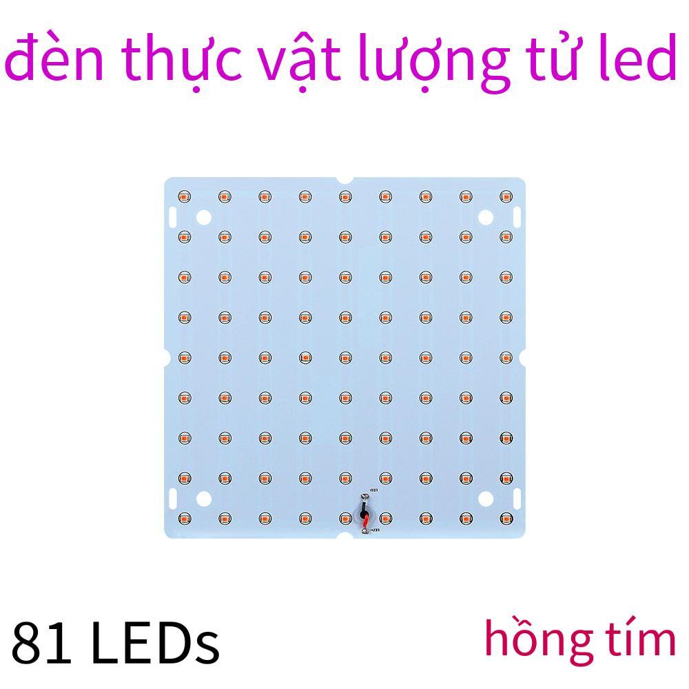 Đảm bảo chất lượng đèn led tăng trưởng thực vật bán chạy nhất trong nhà cây giống ánh sáng bổ sung đèn trồng cải cách hành chính toàn phổ tấm lượng tử đèn thực vật