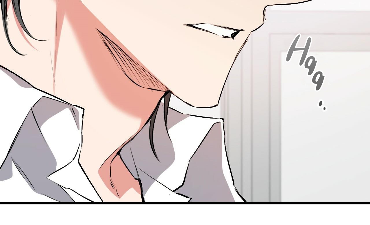 đàn thỏ của habibi chapter 41 35