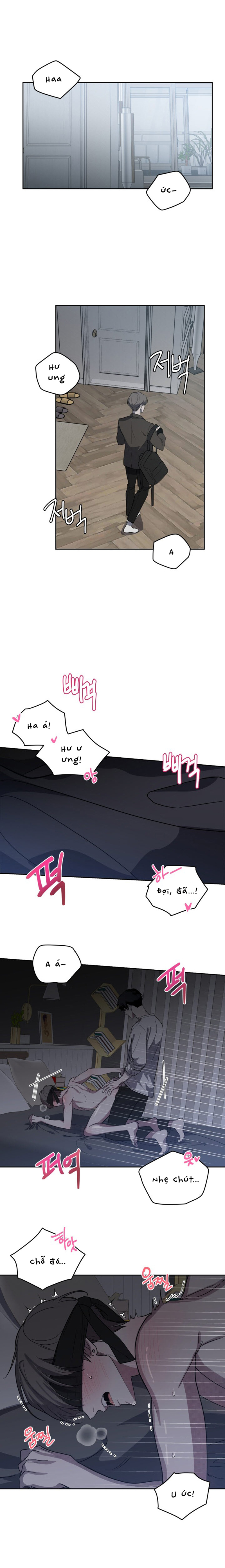 marigold dilemma chapter 1 2