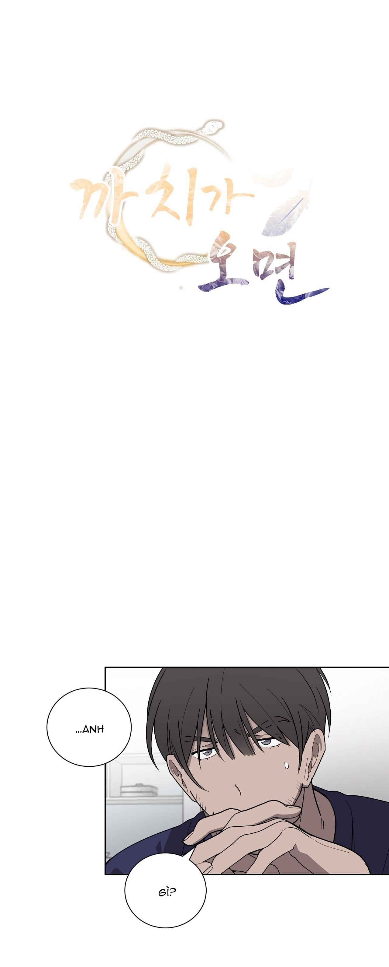 khi chim thước đến chapter 13 8