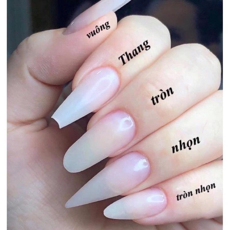 Nail box thiết kế phong cách màu mè trẻ trung năng động