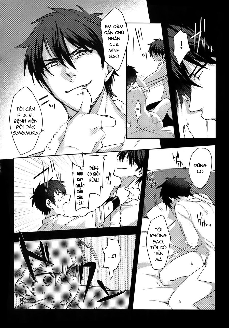 chú mèo con của tôi chapter 1 12