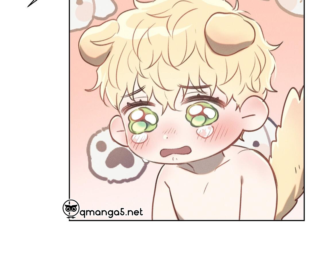 đại úy lãng mạn thân yêu của tôi chapter 15 50