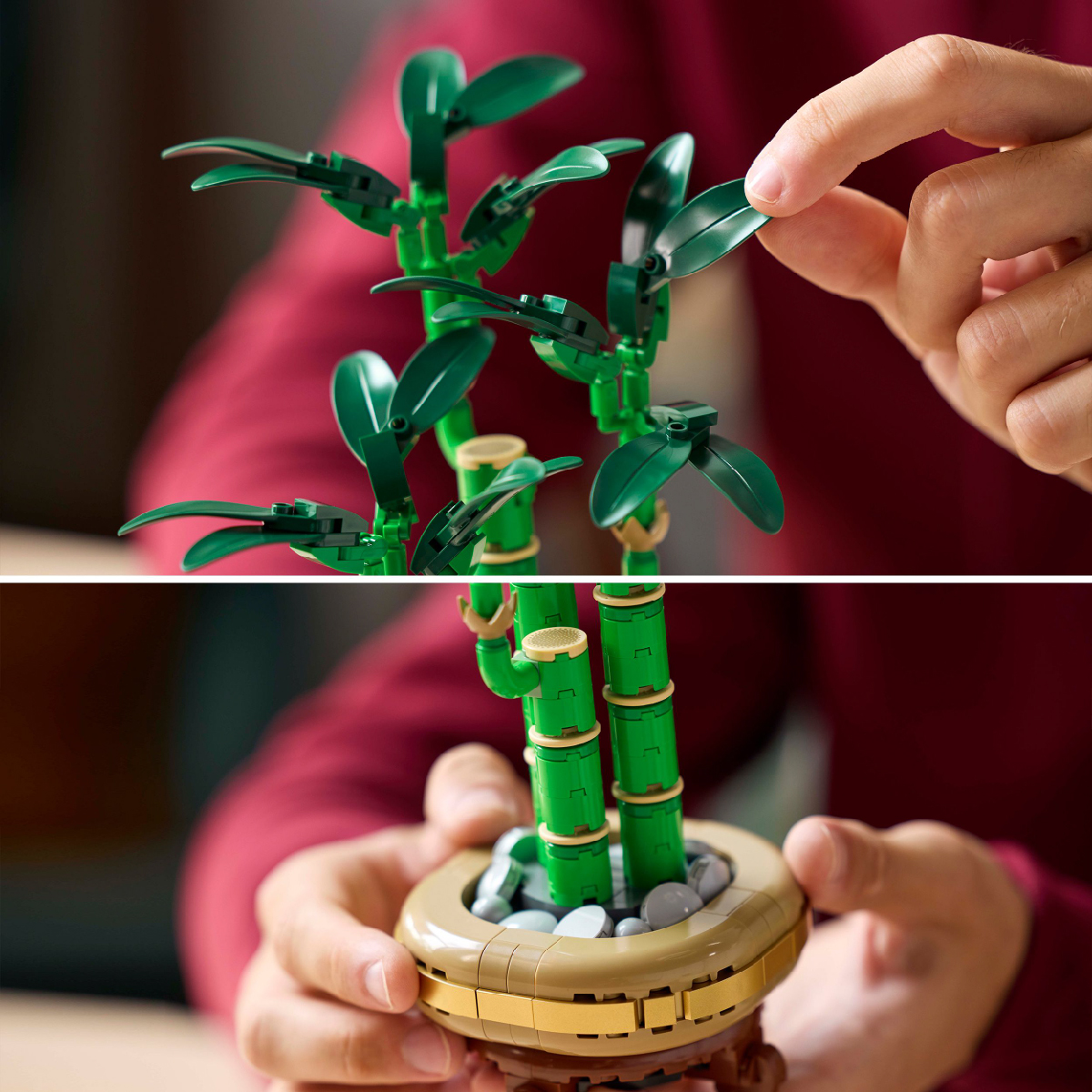 Đồ Chơi Lắp Ráp Cây Thần Tài May Mắn LEGO BOTANICALS 10344 (325 Chi Tiết)