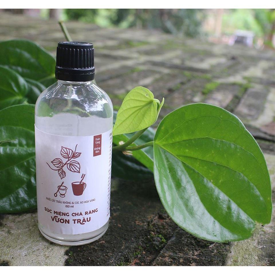 NƯỚC SÚC MIỆNG - CHÀ RĂNG VƯỜN TRẦU (100ml) - VietHerb