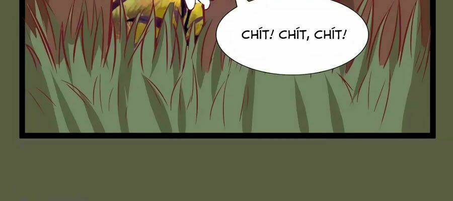 thỏ yêu tiểu vương phi chapter 116 28