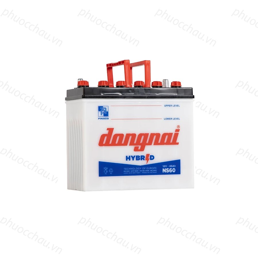 Bình Ắc Quy 12V-45AH, Ắc Quy Dong Nai NS60