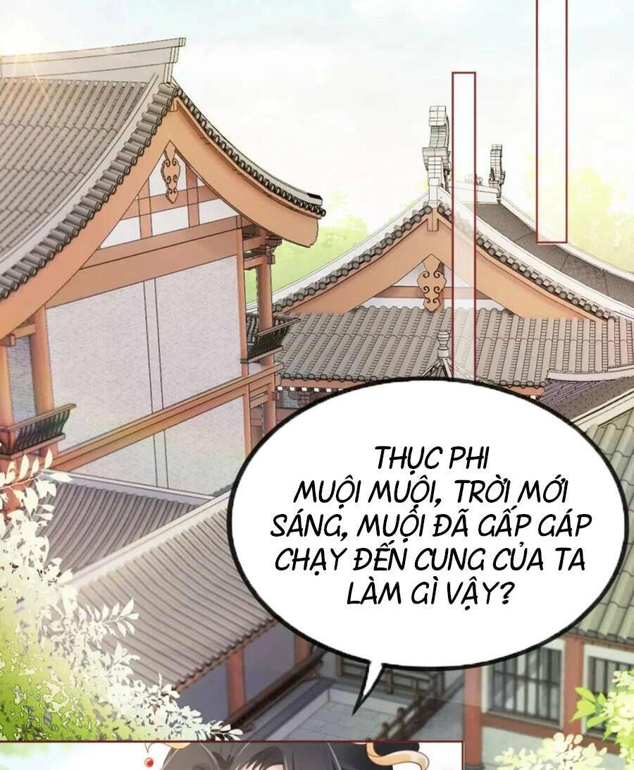 nhặt được bảo bối manh manh chapter 34 41
