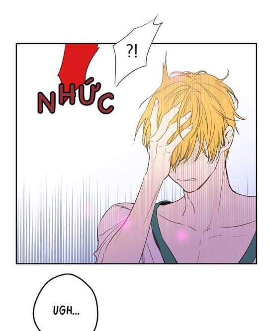 bỗng một ngày nọ tôi trở thành nàng công chúa chapter 49 49