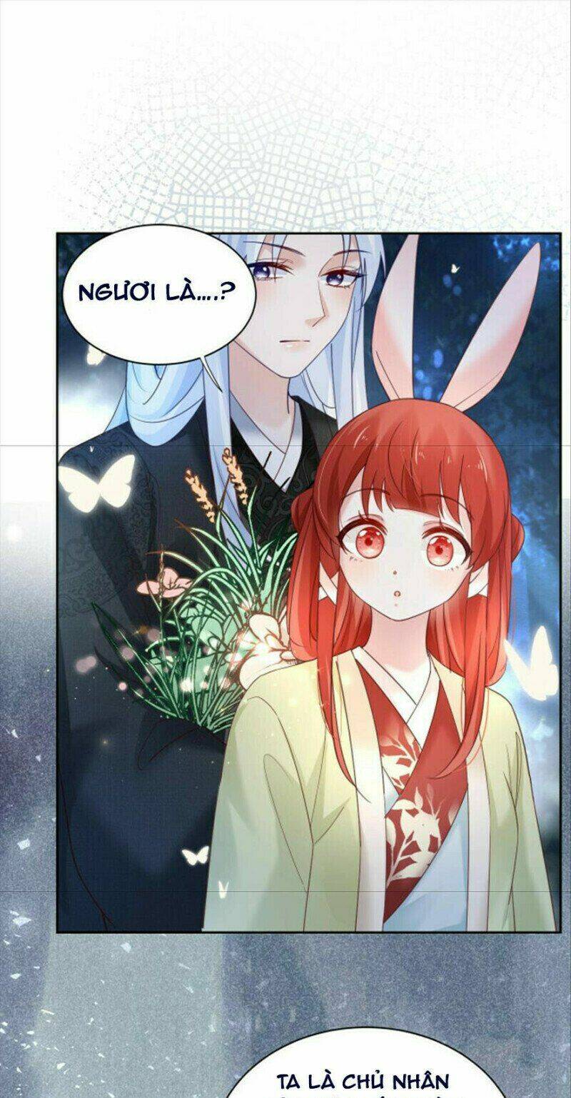 hắc hóa nam chính trực tuyến nuôi thỏ chapter 51 11