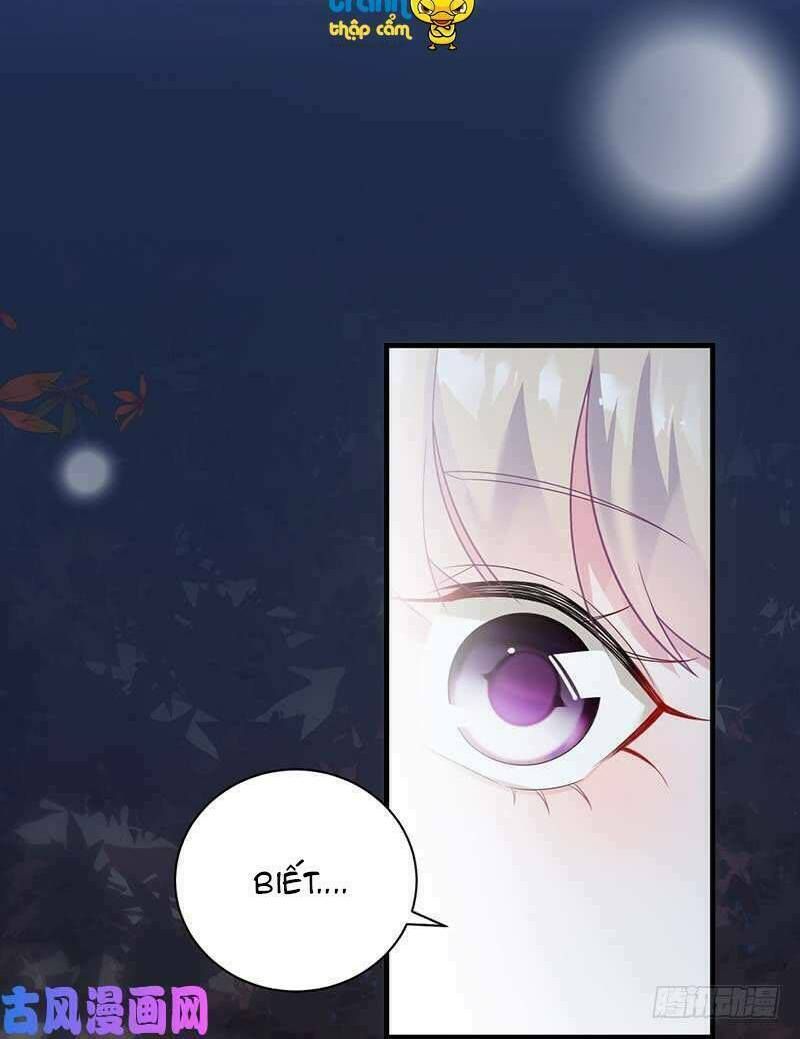 chọc tới chủ tịch tổng tài 2 chapter 61 12