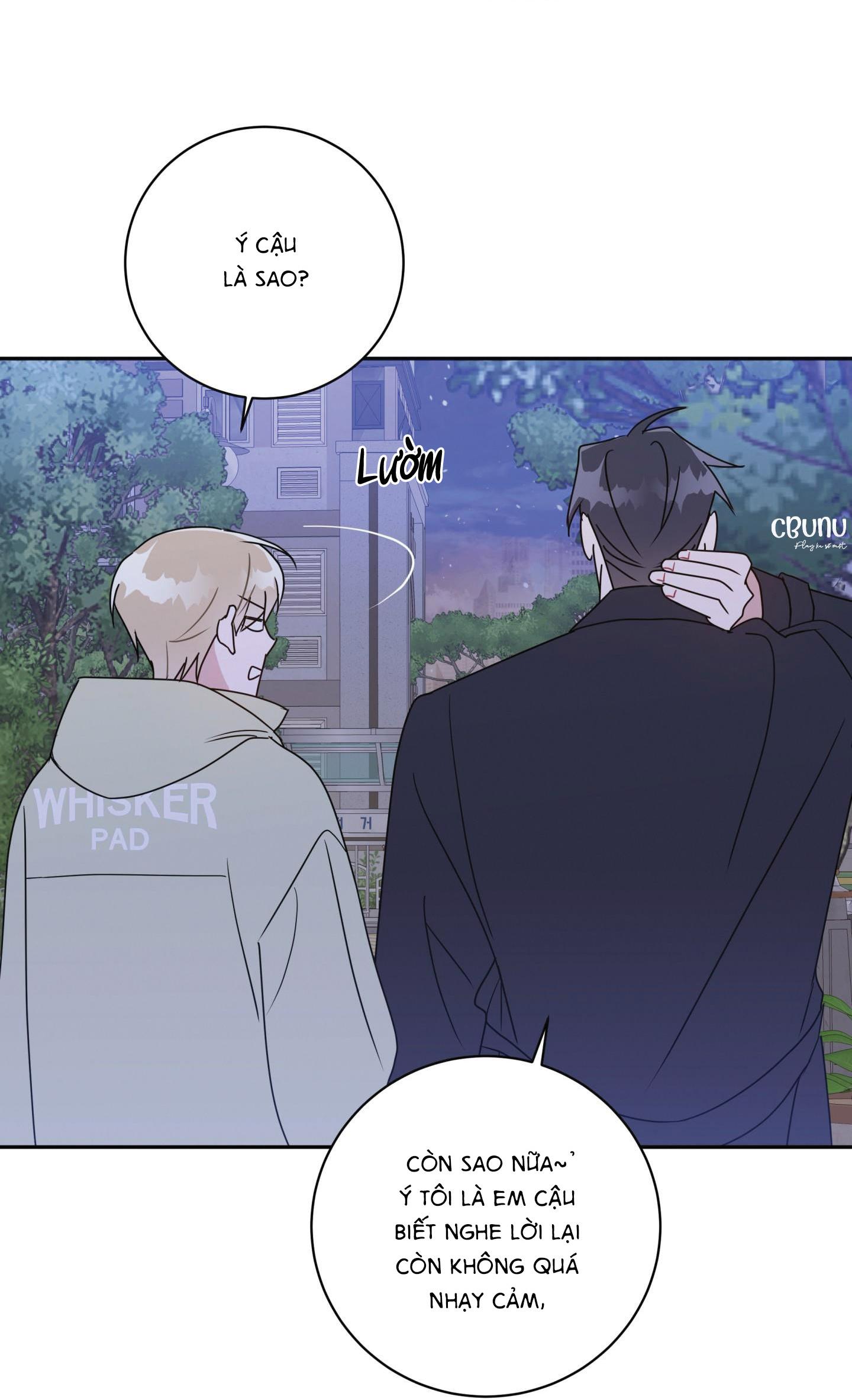 bắt tay hả, thôi bỏ đi! chapter 12 17