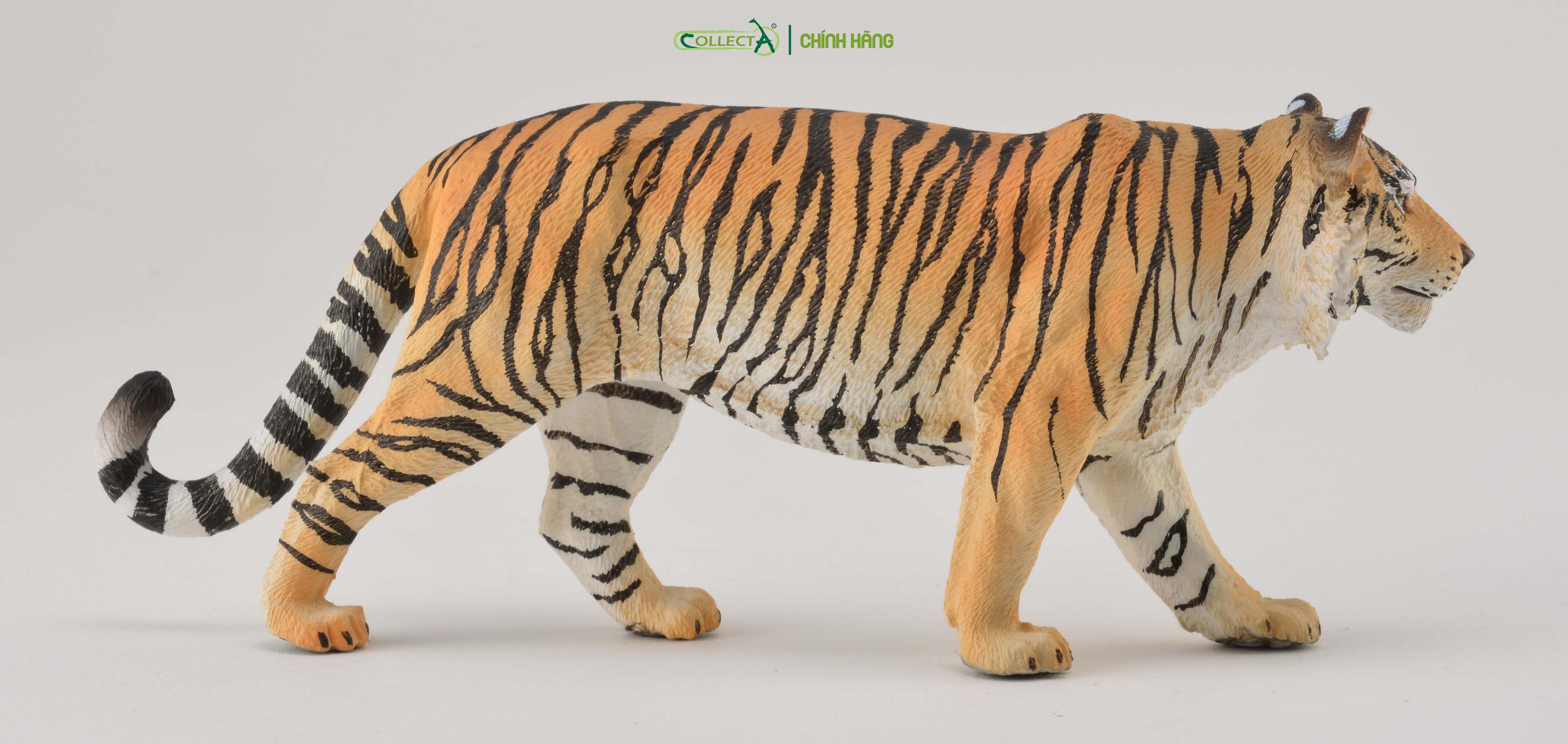 Mô hình thu nhỏ: Hổ - Siberian Tiger, hiệu: CollectA, mã HS 9651200[88789] - Chất liệu an toàn cho trẻ - Hàng chính hãng