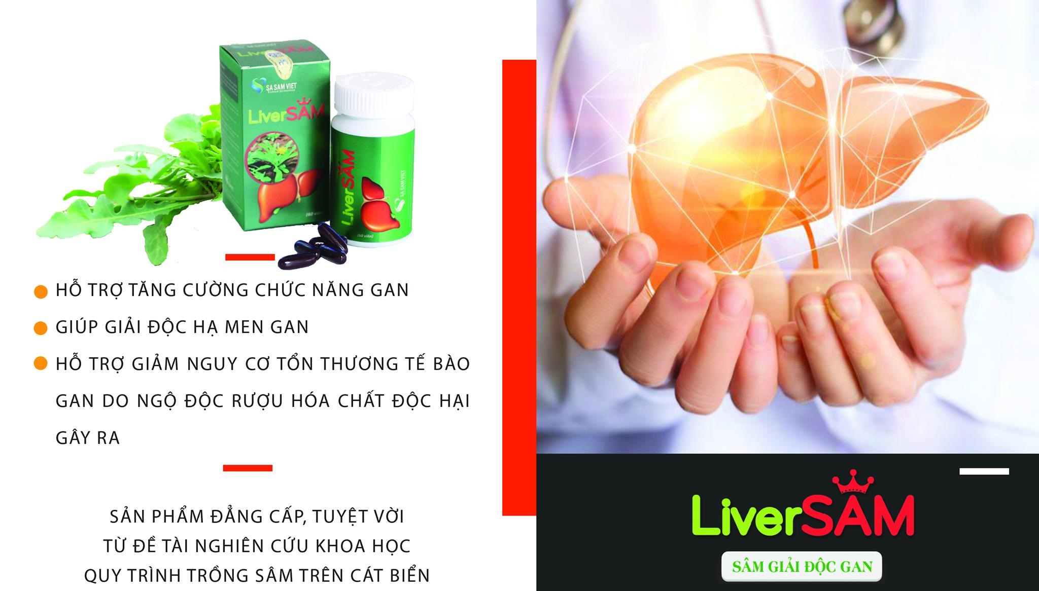 SÂM GIẢI ĐỘC GAN LIVERSAM - Hộp 60 viên nén, giúp giải độc gan, hạ men gan, tăng cường chức năng gan