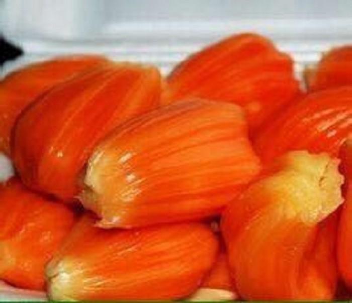 Cây MÍT RUỘT ĐỎ