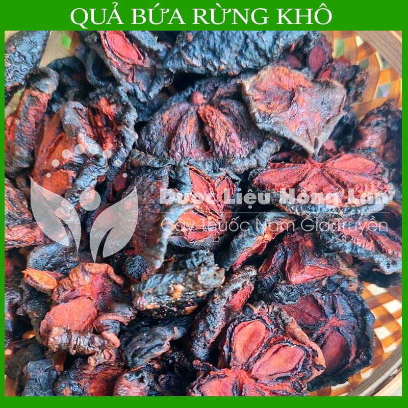 1kg Quả Bứa Rừng khô (Quả măng cụt rừng)