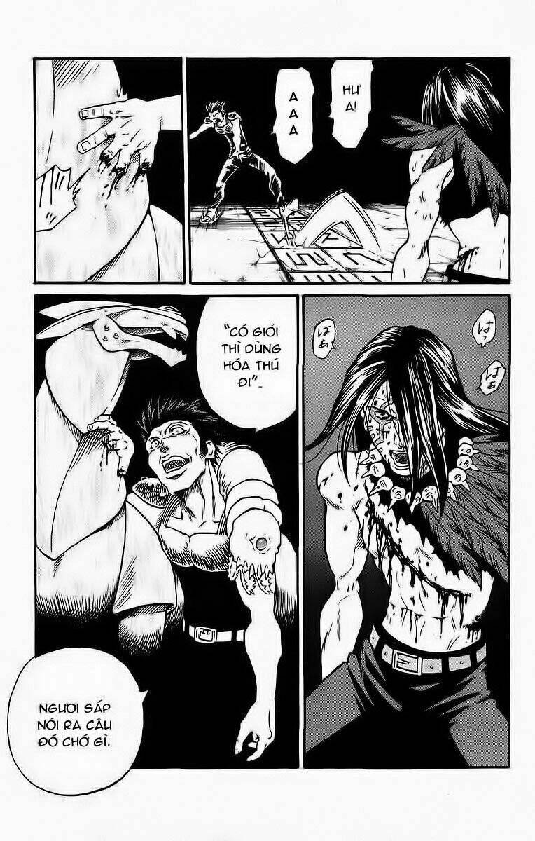 vua trên biển chapter 242 12