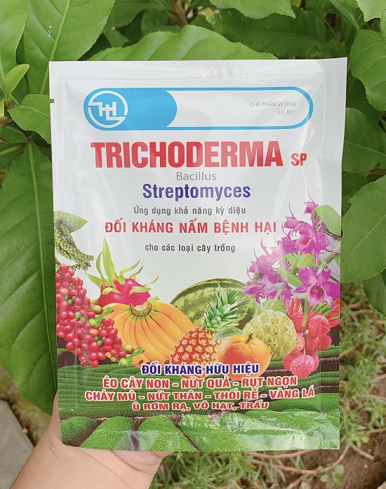 Nấm Đối Kháng Trichoderma SP Bacillus - Streptomyces - 100Gr