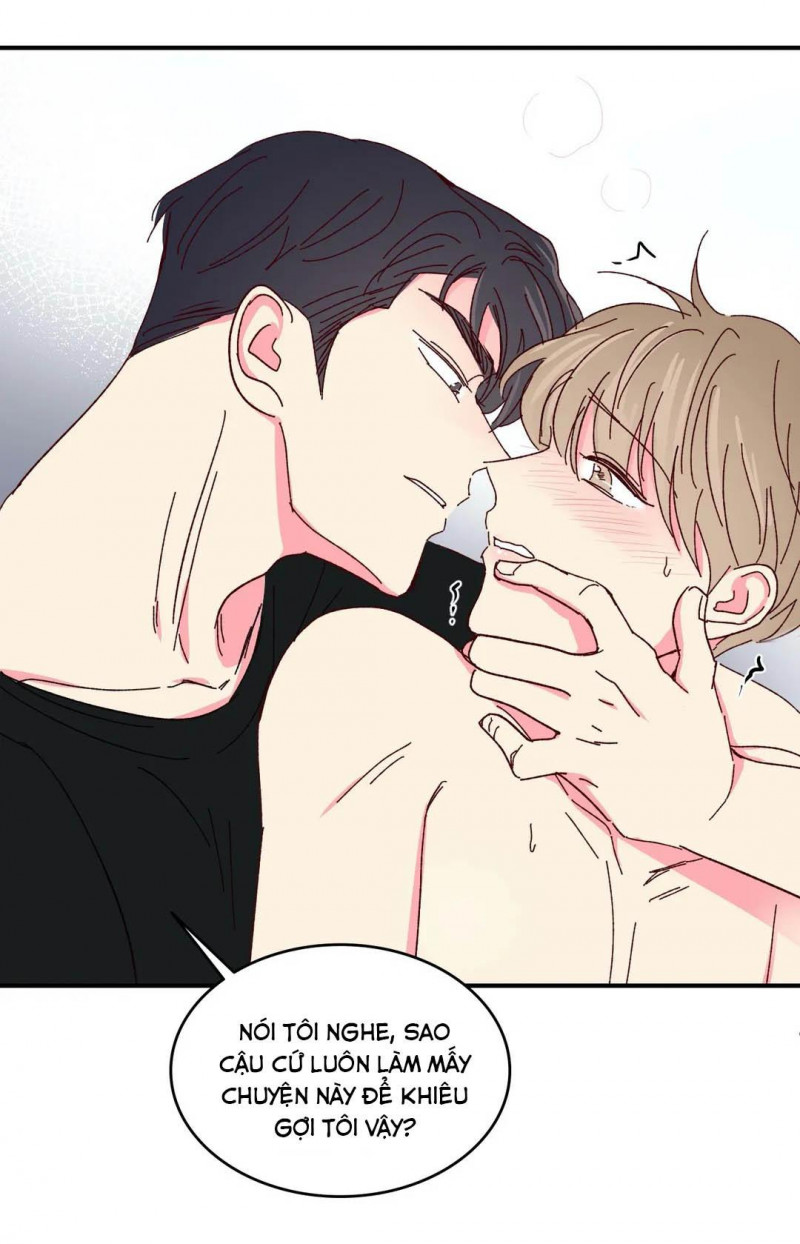 món tráng miệng của sếp tổng chapter 46 52