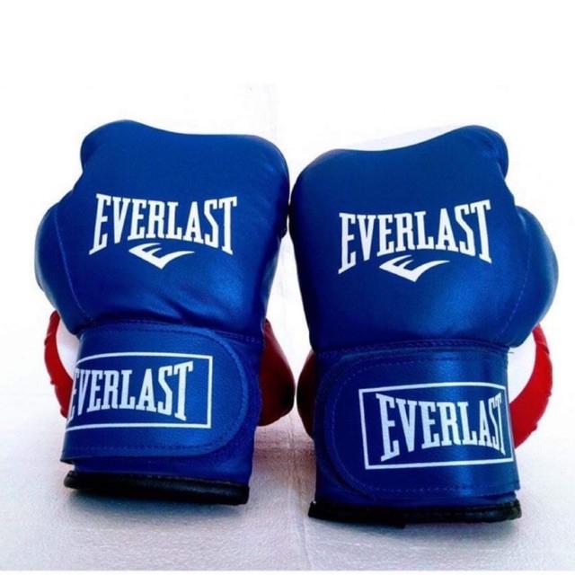 Găng Tay Quyền Anh /găng Tay Boxing /găng Tay Tập Võ Everlast-LYLY SPORTS