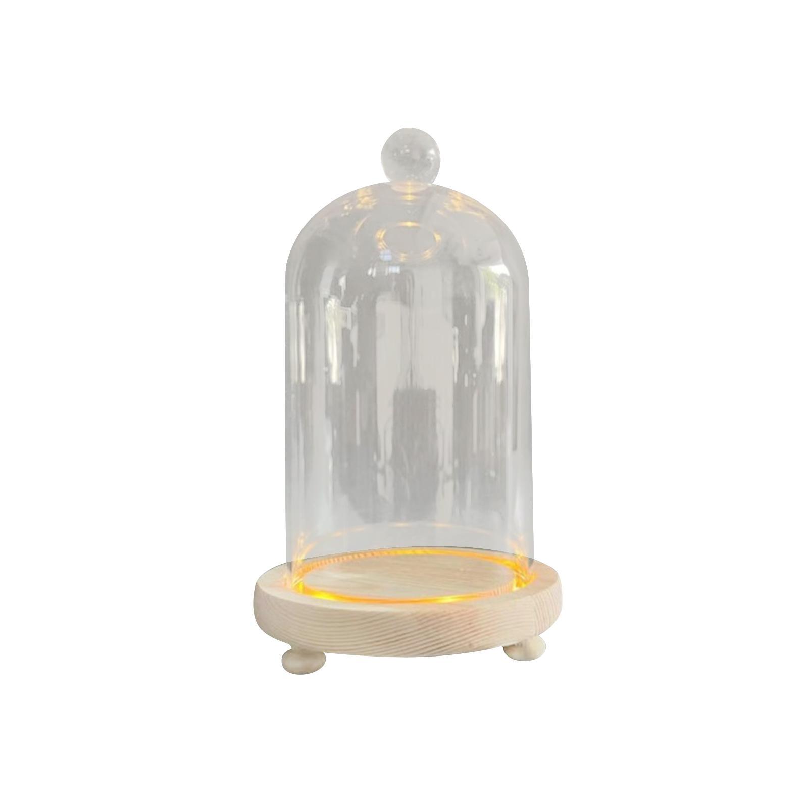 Glass Cloche Dome Eternal Flowers Glass Domes Showcase Transparent Dome Cloche