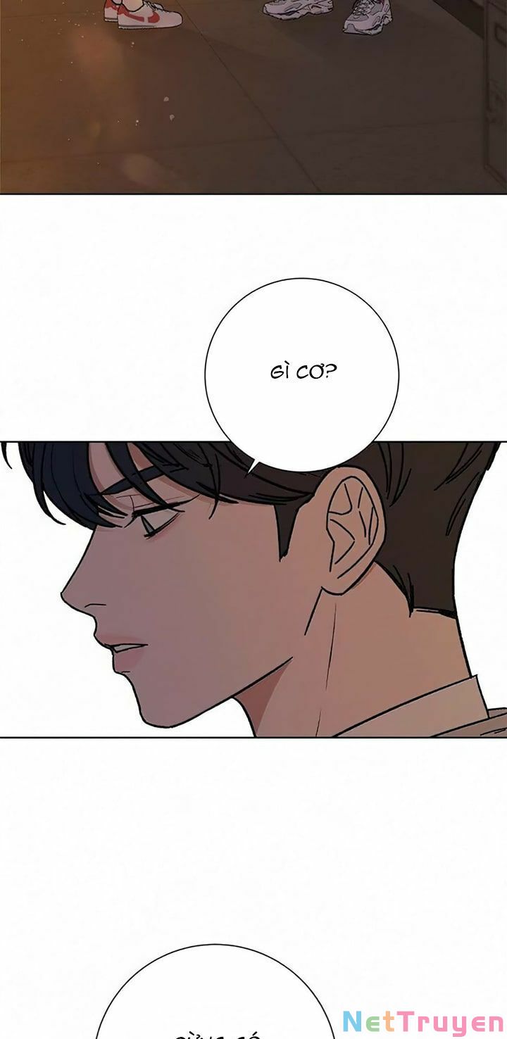 chiến lược: tình yêu trong sáng chapter 6 29